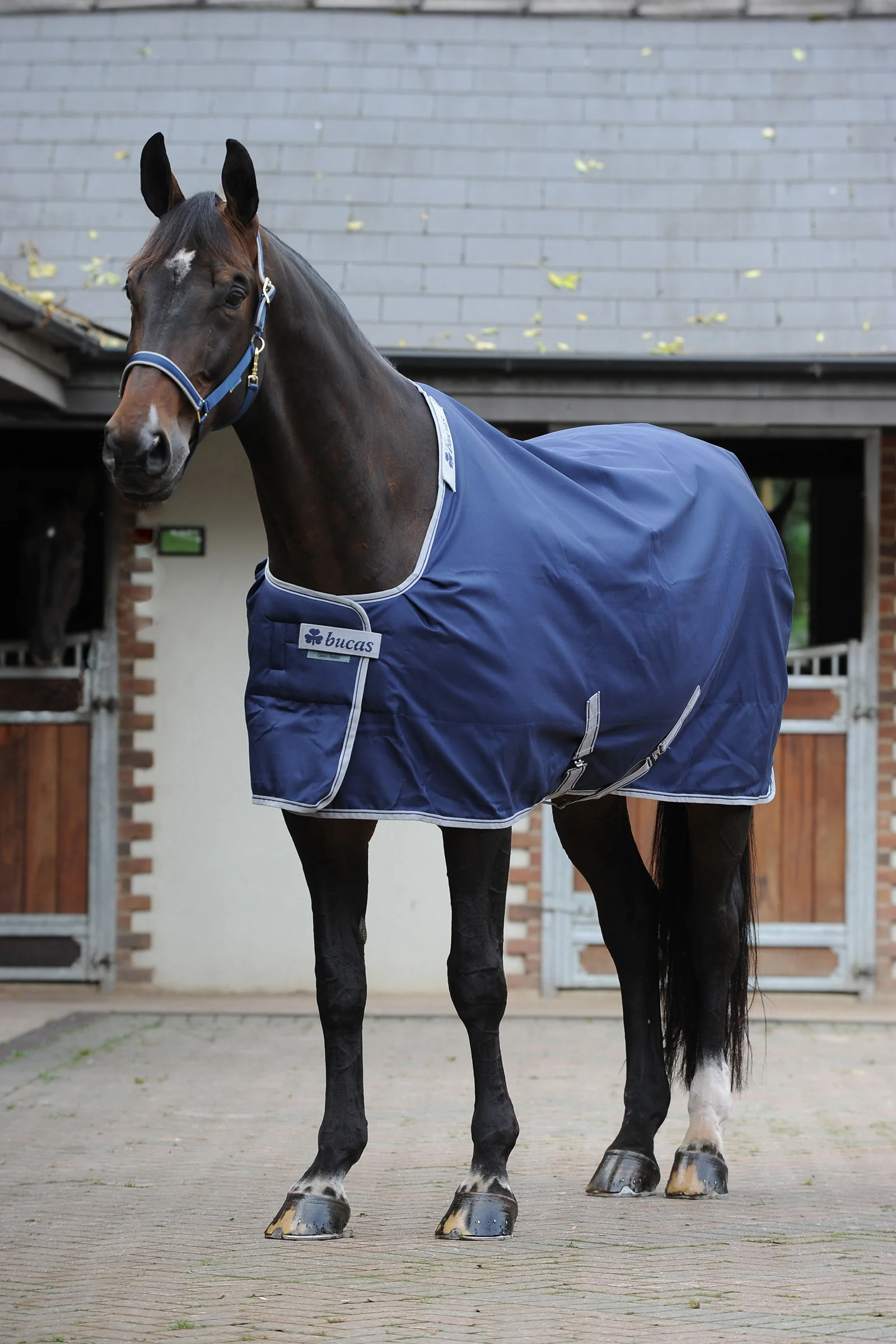 Zdjęcie produktu 1