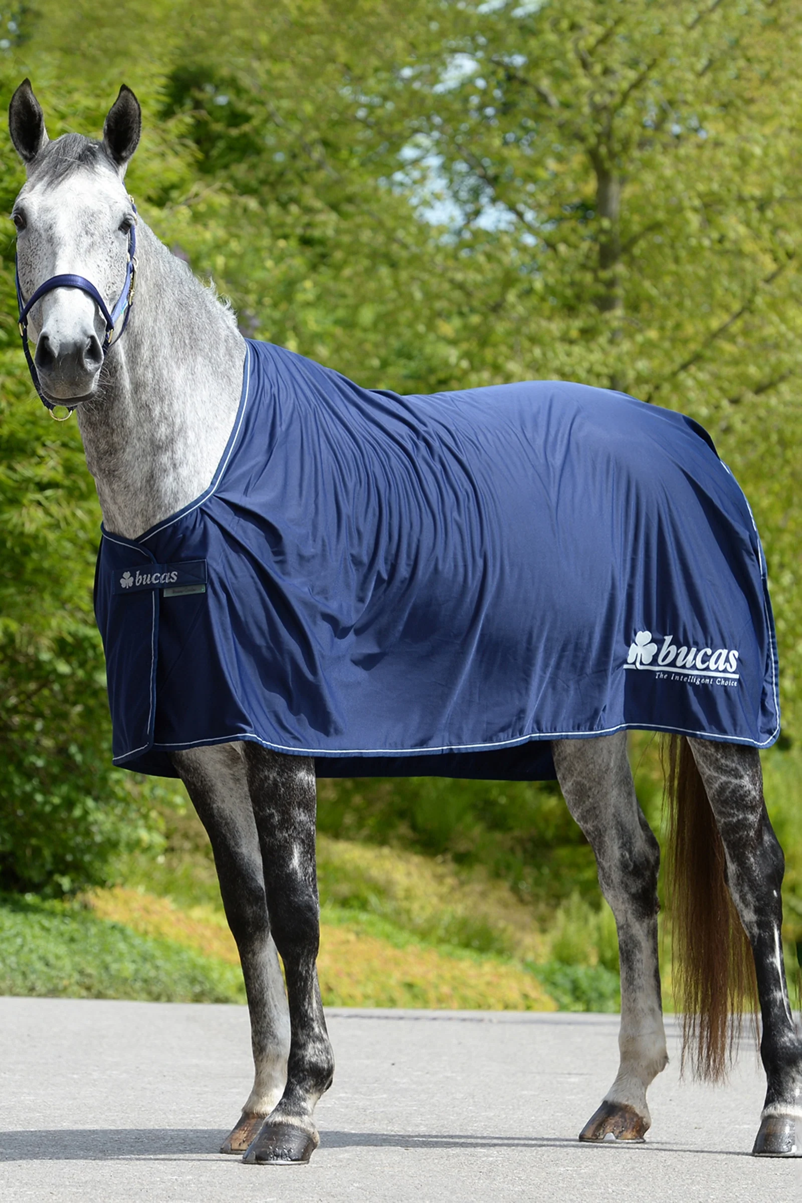 Zdjęcie produktu 1