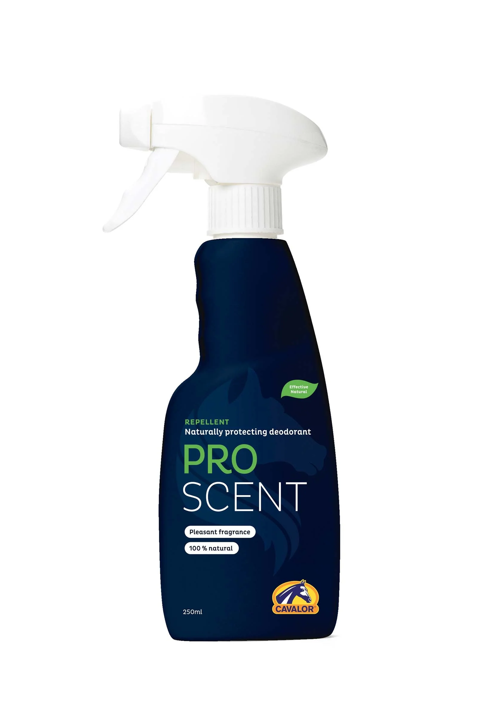 Zdjęcie produktu 1